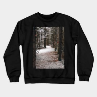 Photo of Mysterious Forest Trail Covered with Snow V2 Crewneck Sweatshirt